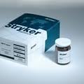 Stryker OP1 Putty