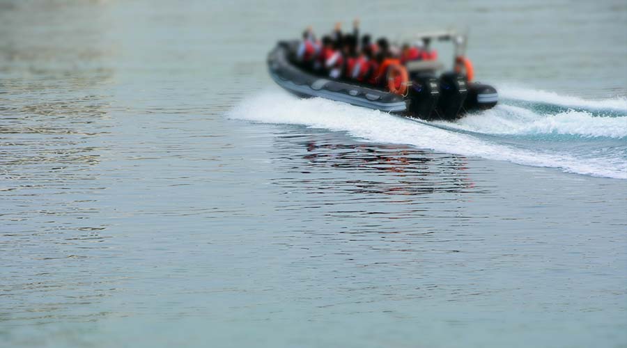 group of people on a tour boat